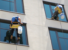 Window Washing Cleaning